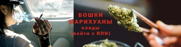 гидра Баксан